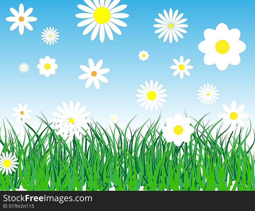 Vector illustration of gren grass field. Vector illustration of gren grass field