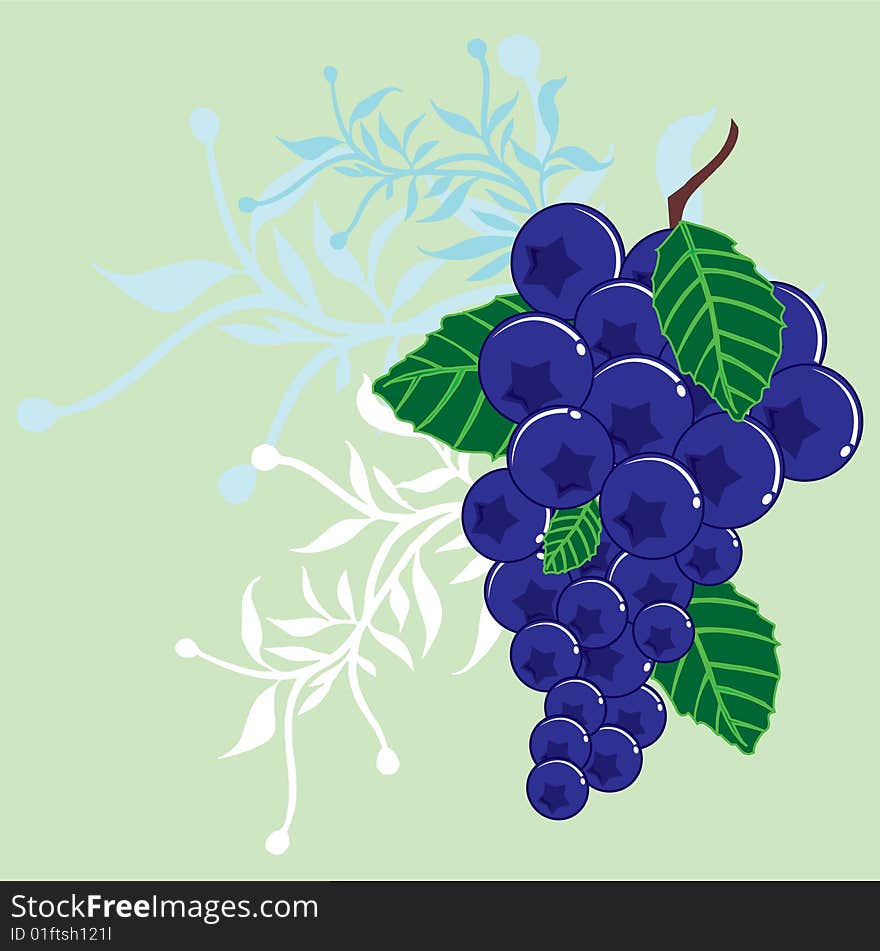 Illustration blue berry with flora ornament background with blue color applied.