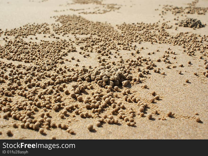 Tiny balls of sand created by crabs on mission beach