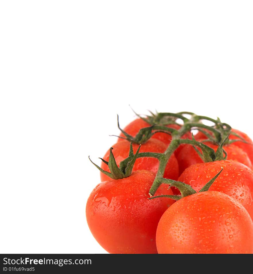 Macroshot of a bunch of tomatoes with drops of water. Isolated over white background. Lot of copyspace. Macroshot of a bunch of tomatoes with drops of water. Isolated over white background. Lot of copyspace.