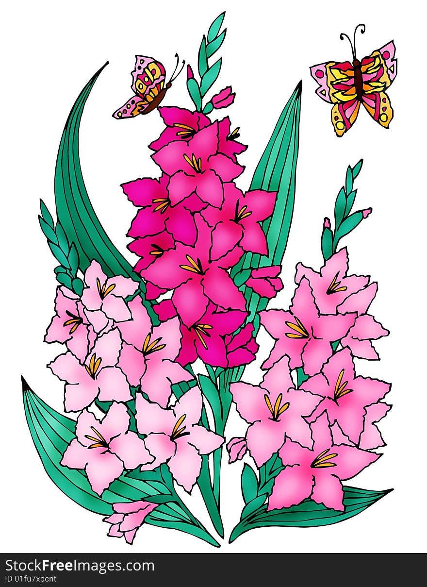 Pink flowers gladiolus and butterfly