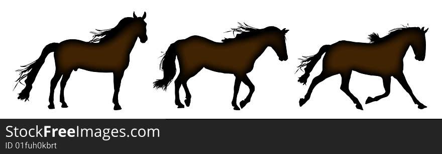 Silhouette of horses standing, trotting, and galloping. Silhouette of horses standing, trotting, and galloping