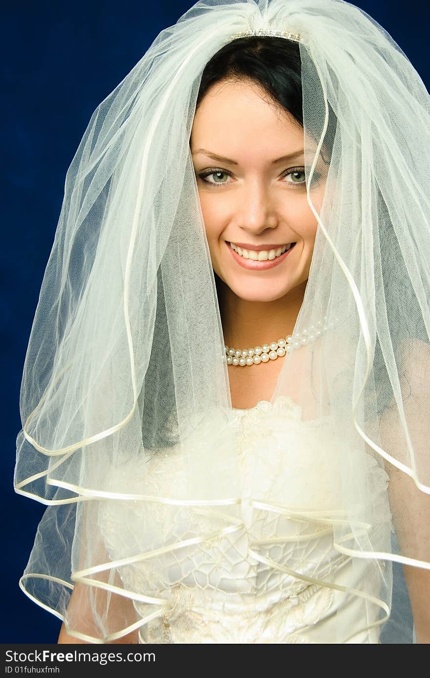 Studio portrait of a beautiful brunette bride against blue background