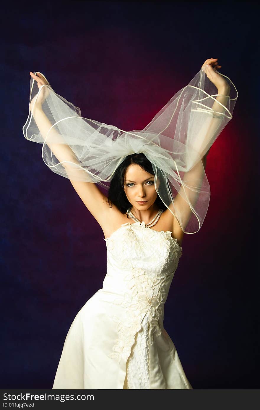 Sexy brunette bride holding her veil