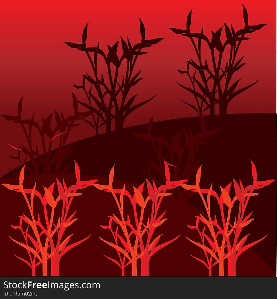 Illustration lucky bamboo with red color applied. Illustration lucky bamboo with red color applied