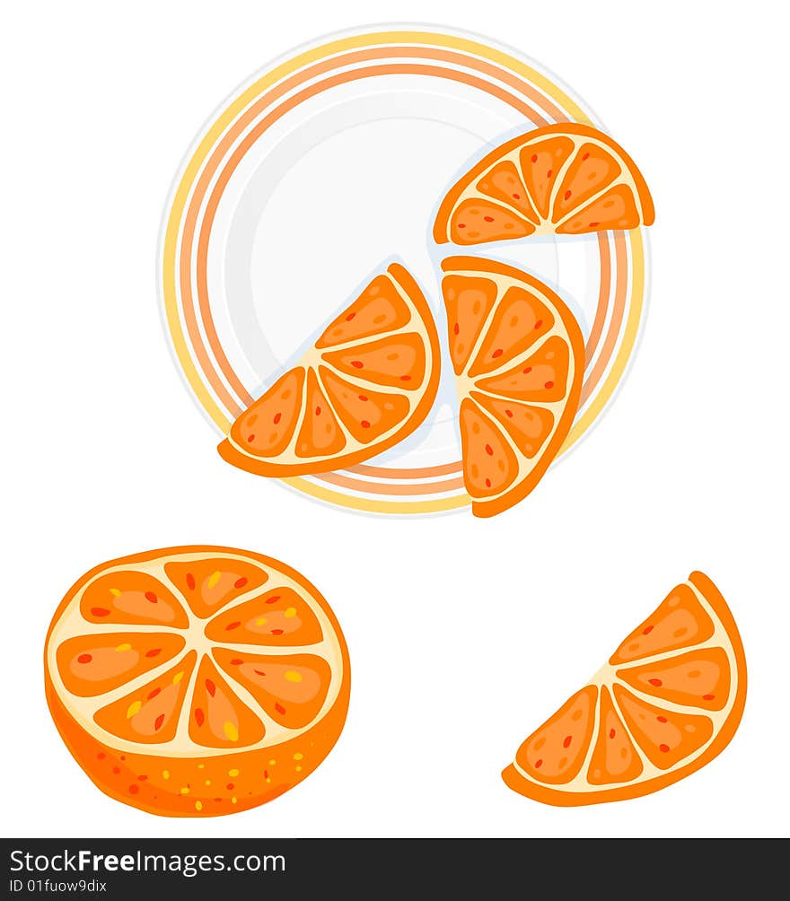 Vector oranges isolated on white