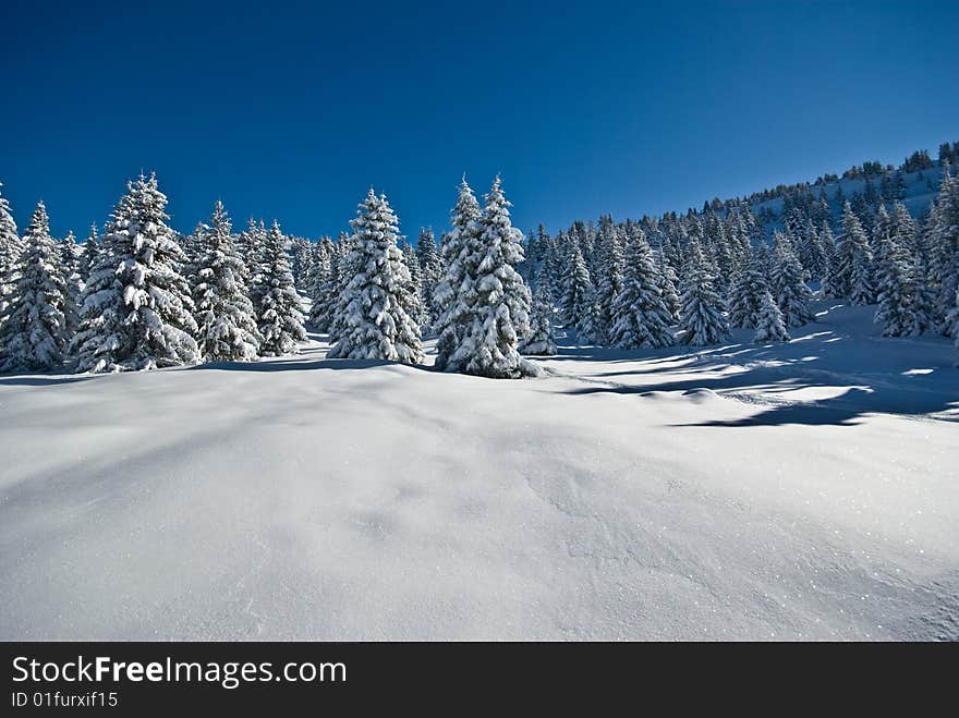 Snow in alps