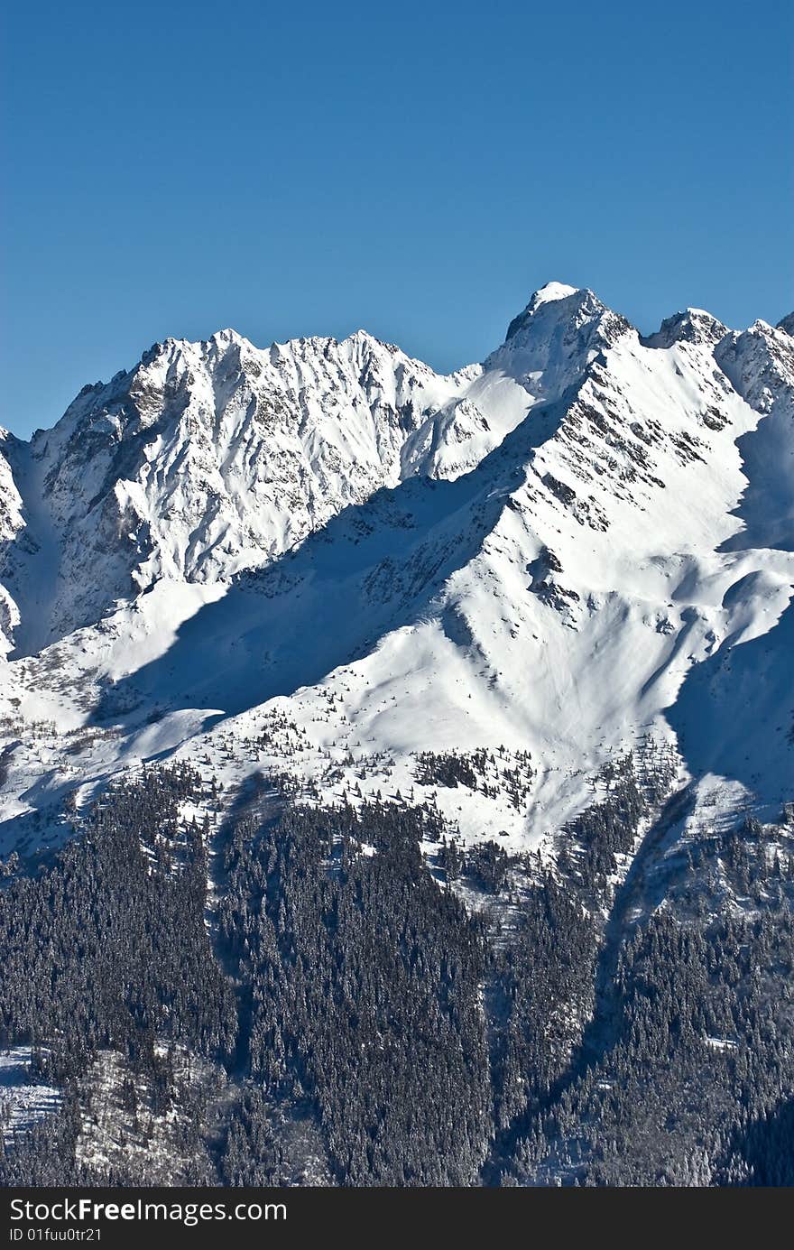 Snow In Alps