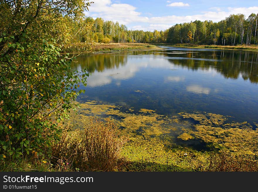 Small Lake amongst the woods, cloudy summer sky