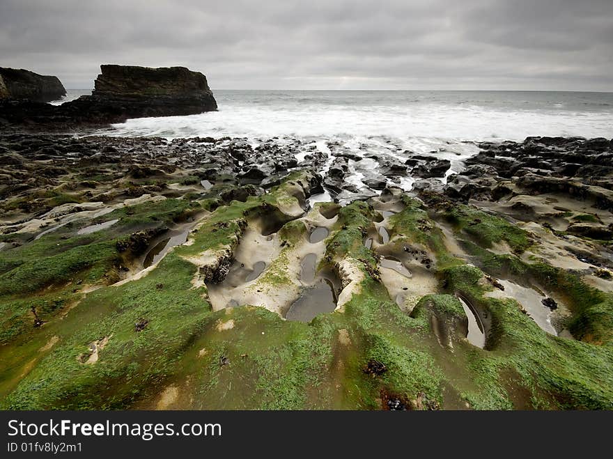 Mossy Rocks on a California Beach with Ovecast Sky