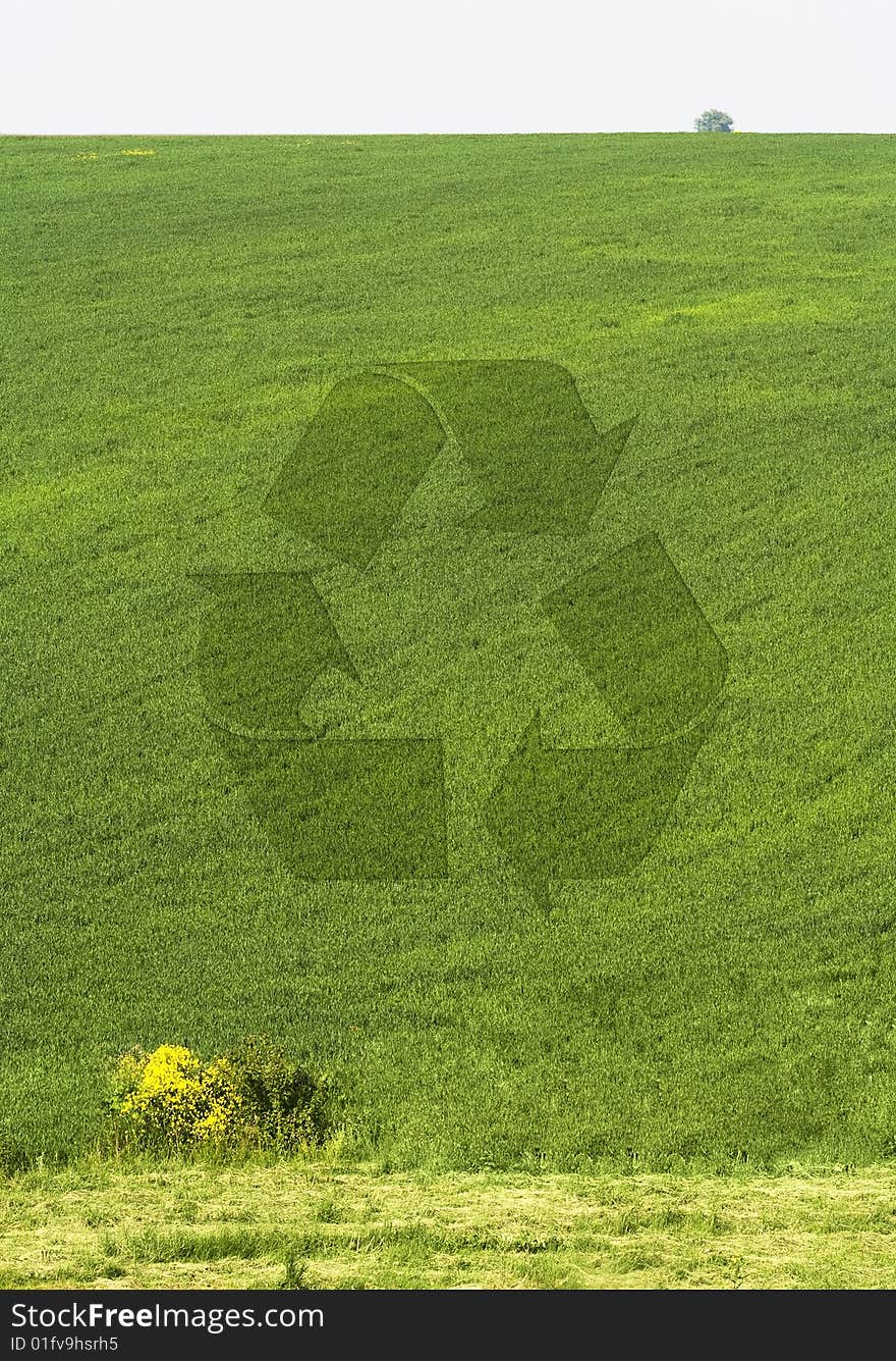 Recycling Symbol on the Green field