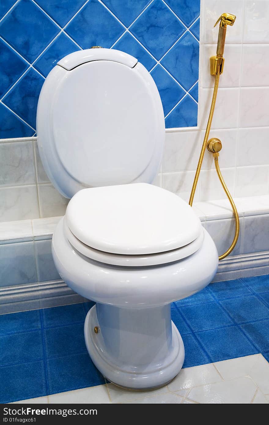 New toilet bowl in a modern bathroom