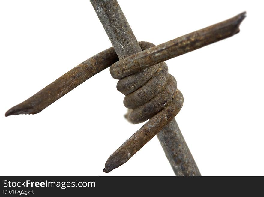 Barbed wire macro isolated oh white