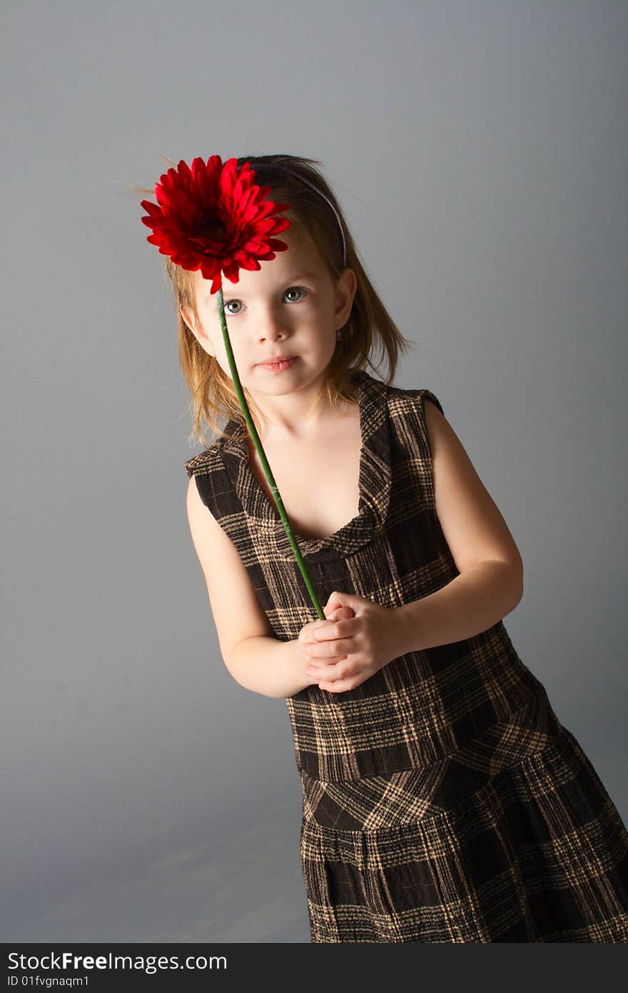 Little beauty smiling girl with red flower on grey background.