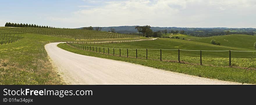 Panoramic Image Of Road Leading Through Green Hill