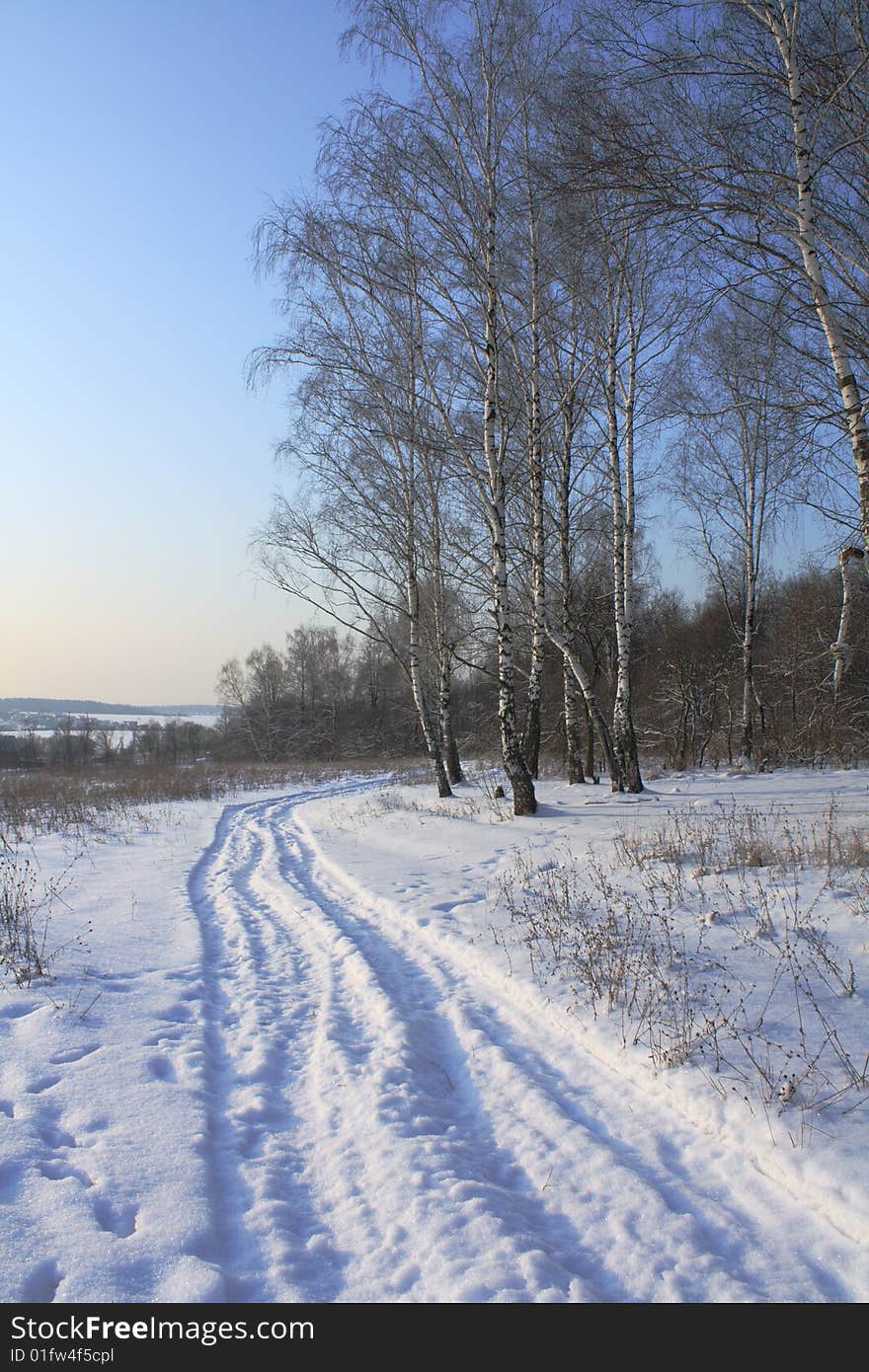 Winter landscape