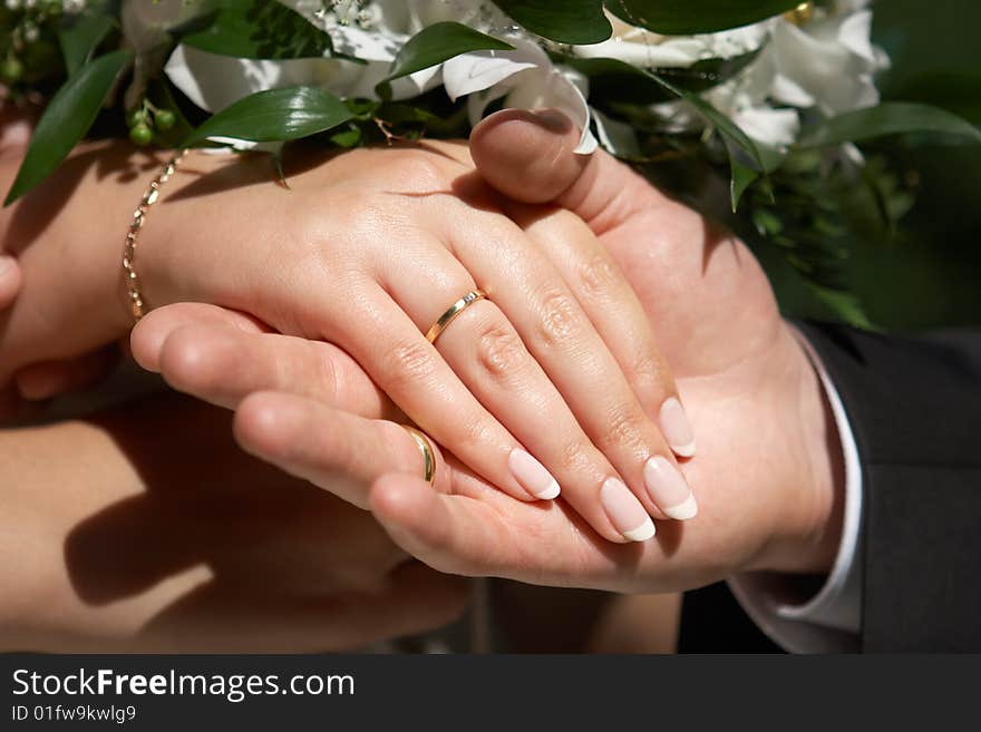 Couple showing there hands with wedding rings