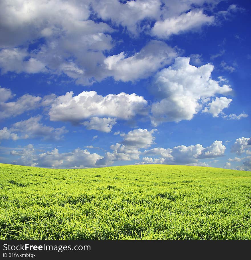 Field on a background of the blue sky