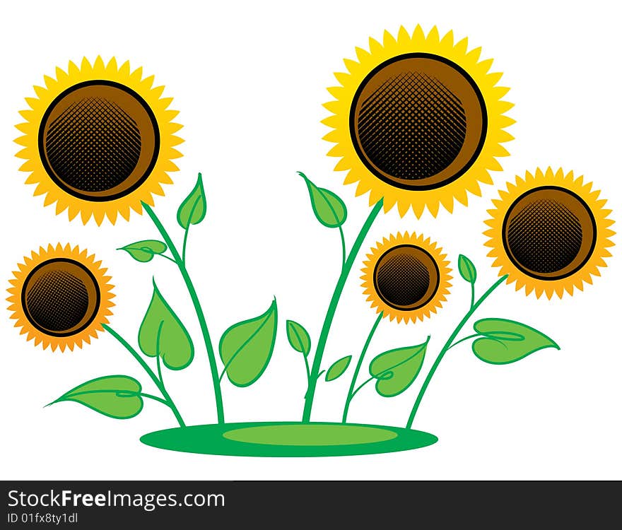 Colorful illustration of the yellow sunflowers