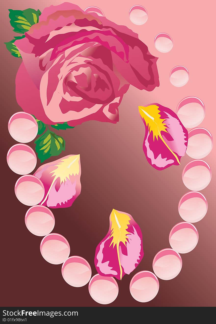 Illustration with red rose flower. Illustration with red rose flower