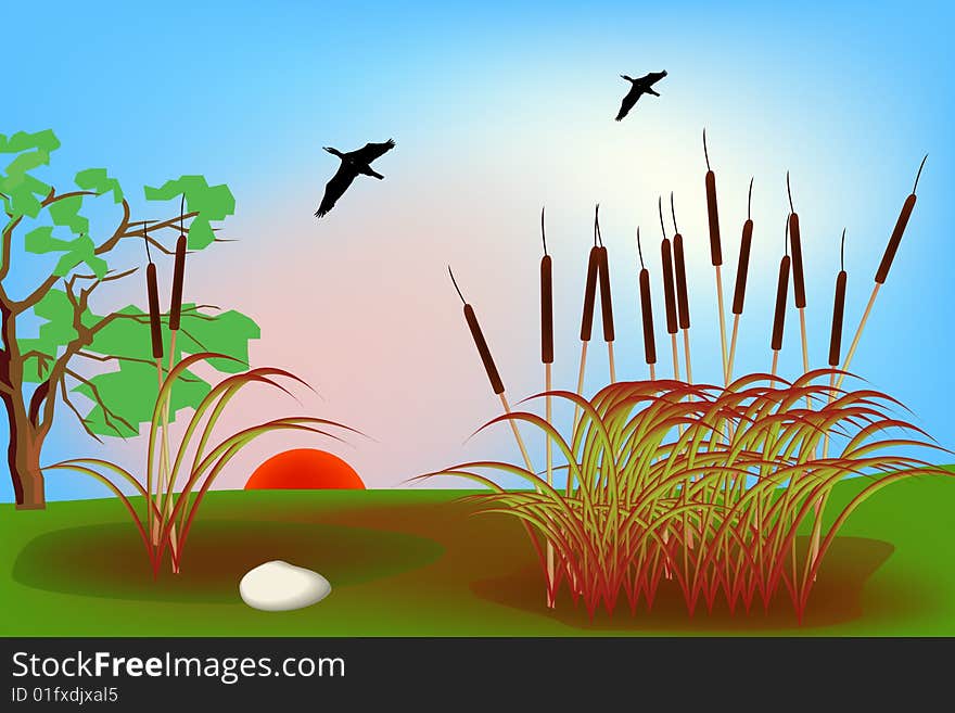 Swamp landscape representation in this graphic illustration.