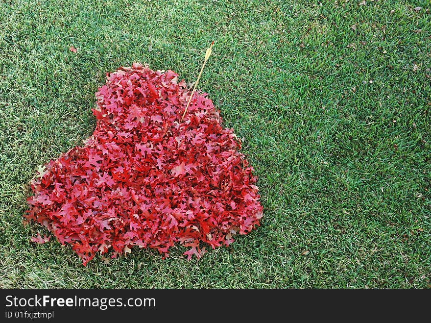 Nice large heart made from fallen leaves in yard with a arrow through it. Nice large heart made from fallen leaves in yard with a arrow through it.