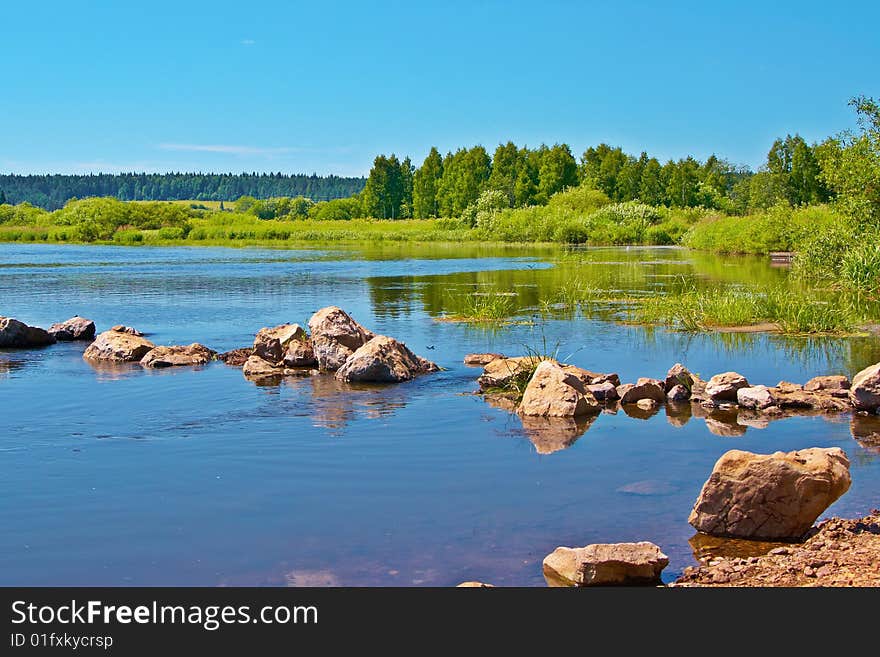 Stones on the river on a background of a wood