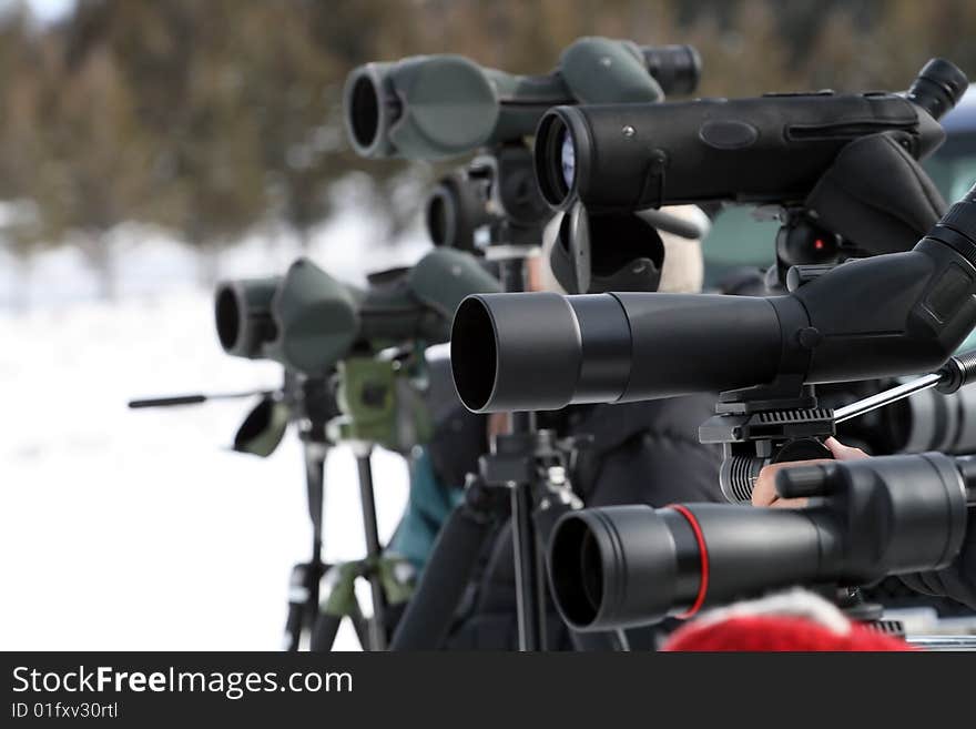 A row of spotting telescopes searching for wildlife in Yellowstone National Park.