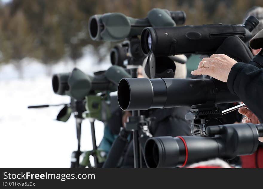 A row of spotting telescopes searching for wildlife in Yellowstone National Park.