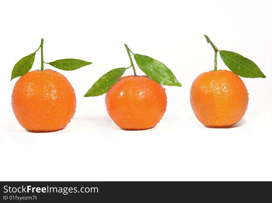 Fresh clementine orange with water droplets. Fresh clementine orange with water droplets