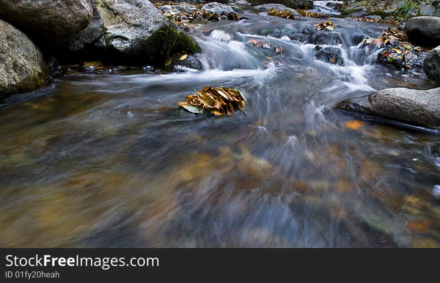 I enjoy sitting near water-observing-taking pictures-clear my mind. I enjoy sitting near water-observing-taking pictures-clear my mind