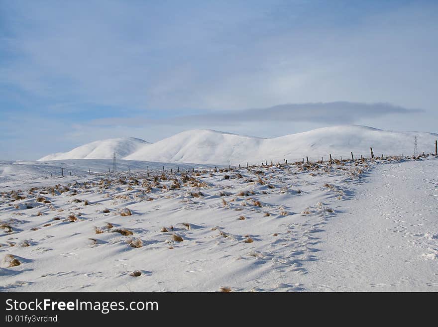 Snowy Landscape