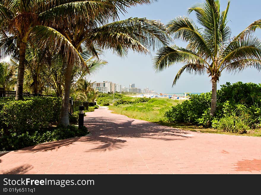 Path to Miami's South Beach, Florida. Path to Miami's South Beach, Florida