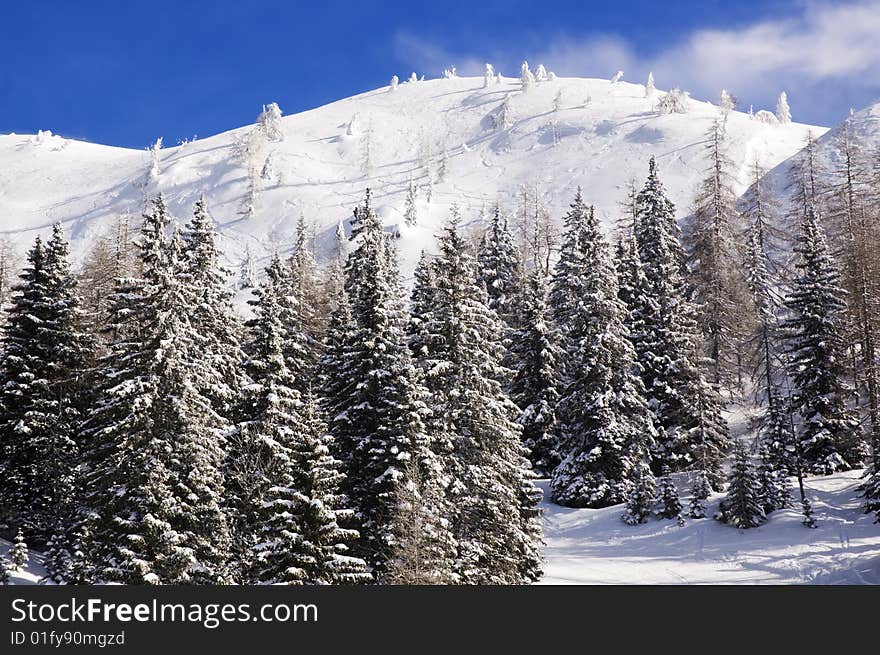 Beautiful winter landscape on a sunny day