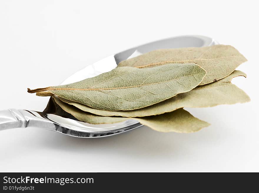 Spoon full of bay leaves