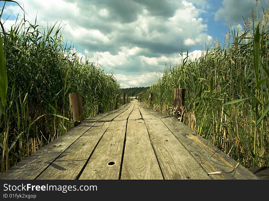 Wooden bridge