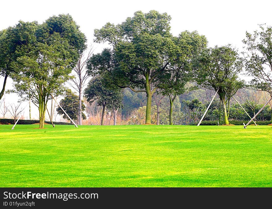 Green trees and lawn in the morning  in winter (raw available)