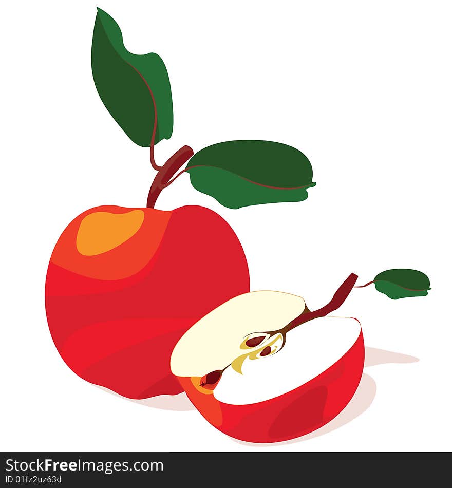 Apples, the whole and half, a , on a white background