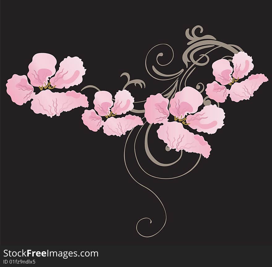 Illustration of a floral background