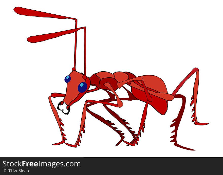 Red ant