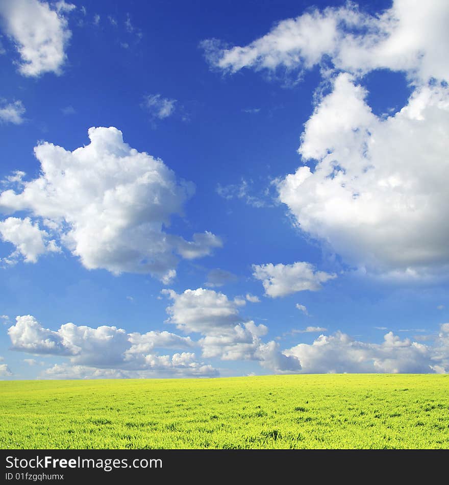 Field on a background of the blue sky