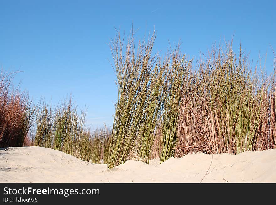 Belgium beach in summertime, sun