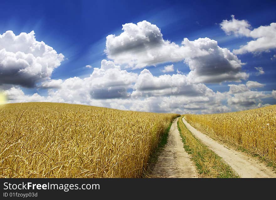 Rural dirt road through the field. Rural dirt road through the field