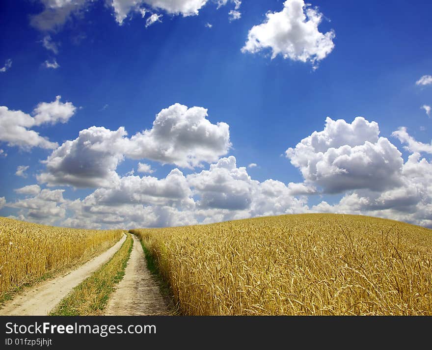 Rural dirt road through the field. Rural dirt road through the field