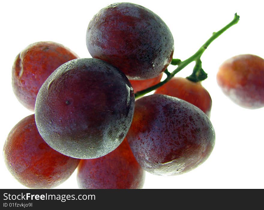 Bight purple grapes with condensation. Bight purple grapes with condensation