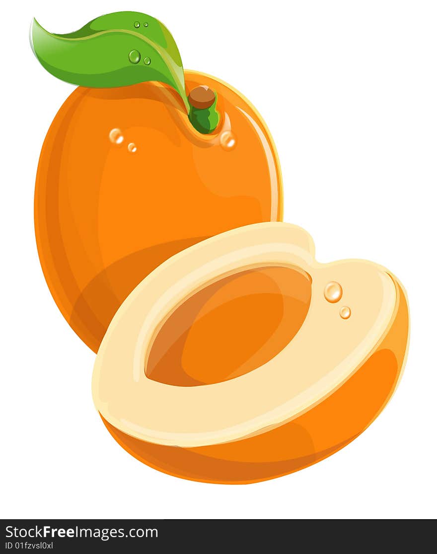 Apricot