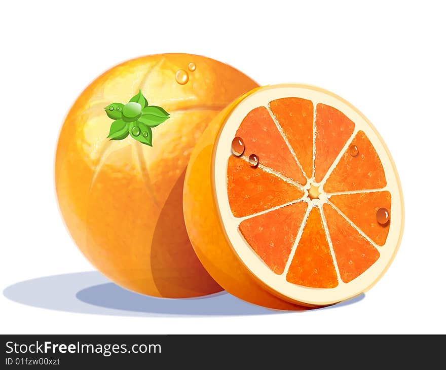 Oranges, vectorial orange, yield, vitaminac to the orange, fruit juice to the orange, illustration of fruit, vectorial, yield vectorial, vectorial orange. Oranges, vectorial orange, yield, vitaminac to the orange, fruit juice to the orange, illustration of fruit, vectorial, yield vectorial, vectorial orange