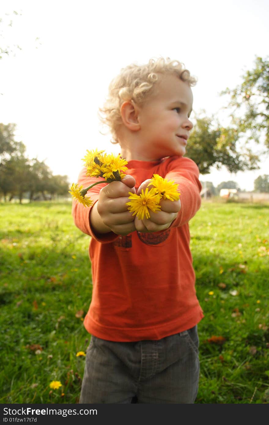 Kid Picking Up Flowers