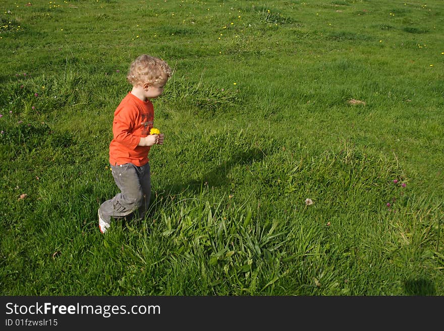 Kid Picking Up Flowers