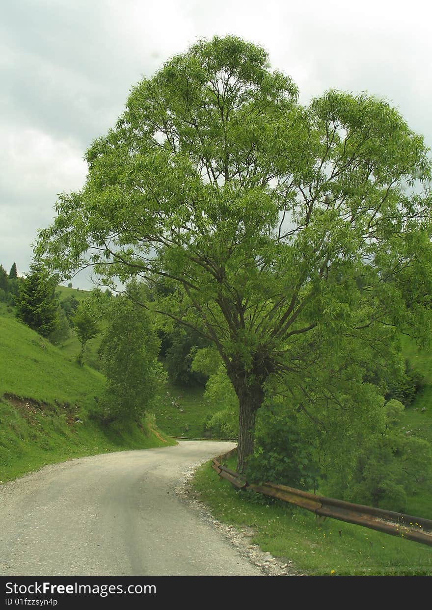 A old roud and a bent. A old roud and a bent.